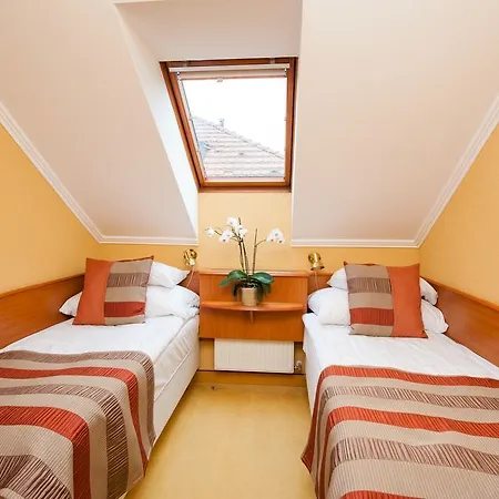 Hotel Hotel Spa Heviz 4*