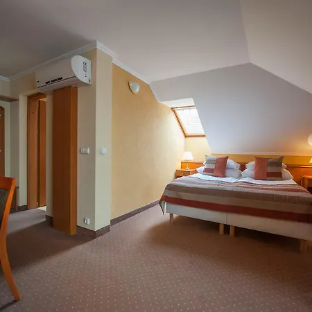 Hotel Spa Heviz 4*