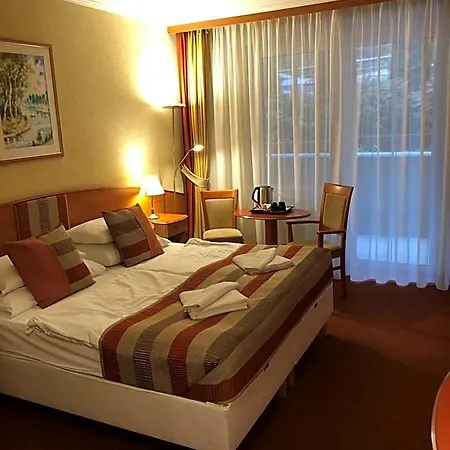 Hotel Hotel Spa Heviz 4*