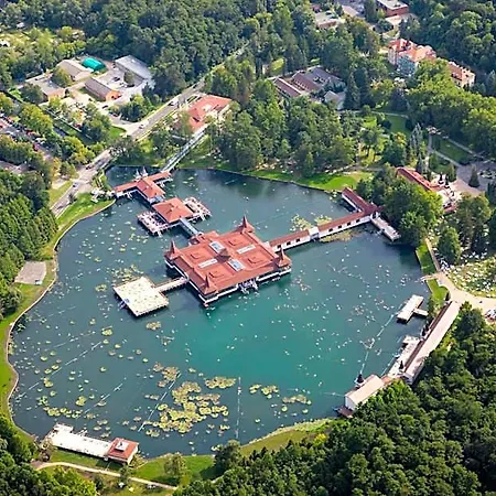 Hotel Spa Heviz Hotel 4*