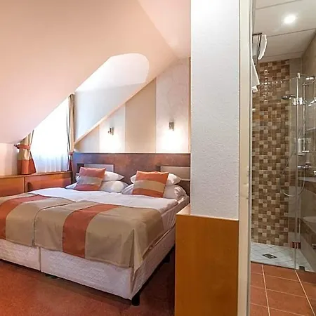 Hotel Spa Heviz Hotel 4*