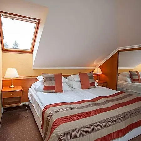 Hotel Spa Heviz Hotel 4*