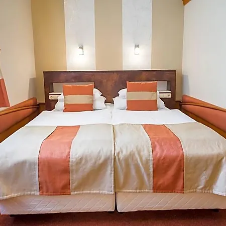 Hotel Hotel Spa Heviz