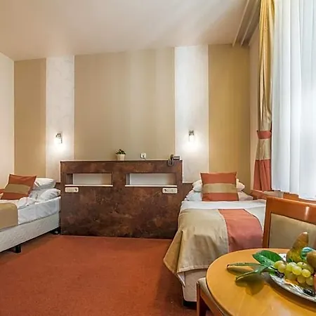 Hotel Hotel Spa Heviz