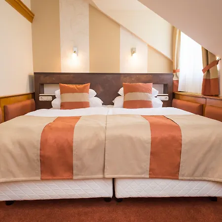 Hotel Spa Heviz Hotel 4*