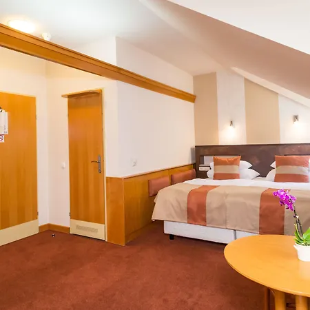 Hotel Spa Heviz 4*