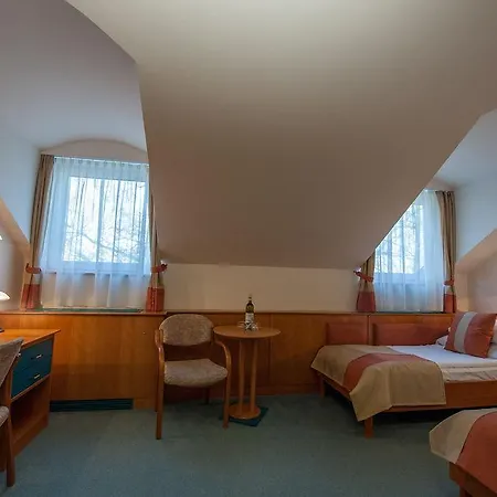 Hotel Spa Heviz Hotel Hévíz