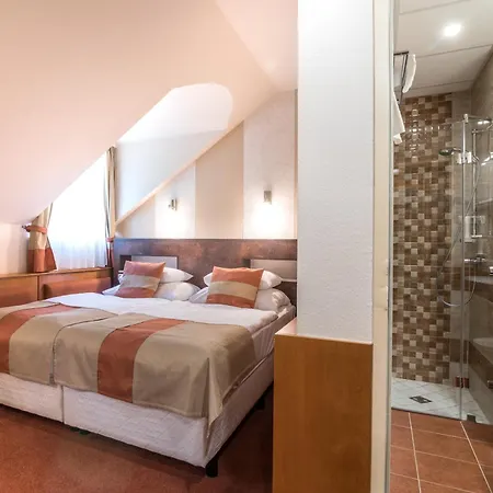 Hotel Spa Heviz 4*