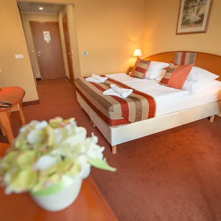 Hotel Hotel Spa Heviz