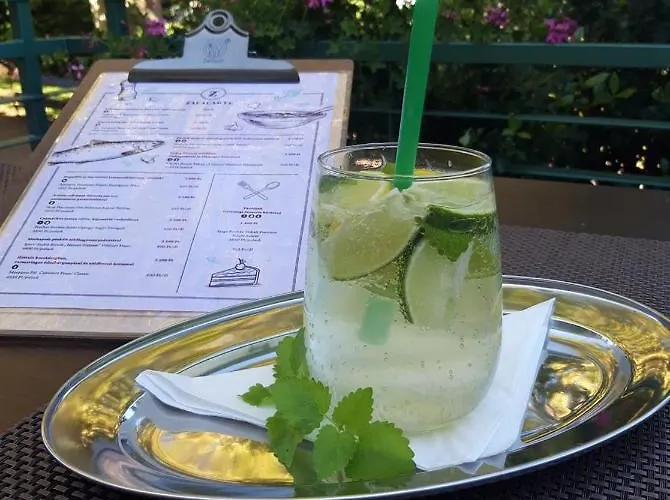 호텔 Hotel Spa Heviz 4*