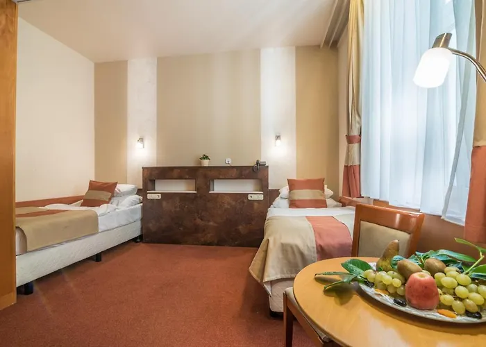 Hotel Spa Heviz 호텔 4*