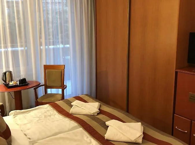 Hotel Spa Heviz 호텔 4*