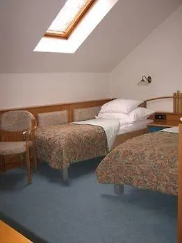 호텔 Hotel Spa Heviz 4*