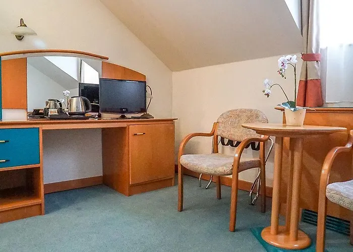 Hotel Spa Heviz 호텔 4*