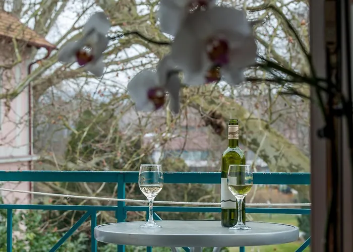 Hotel Spa Heviz 호텔 4*