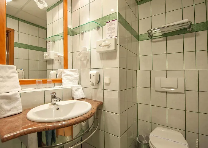 호텔 Hotel Spa Heviz