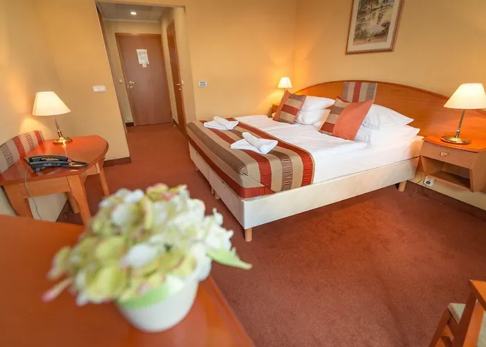 호텔 Hotel Spa Heviz