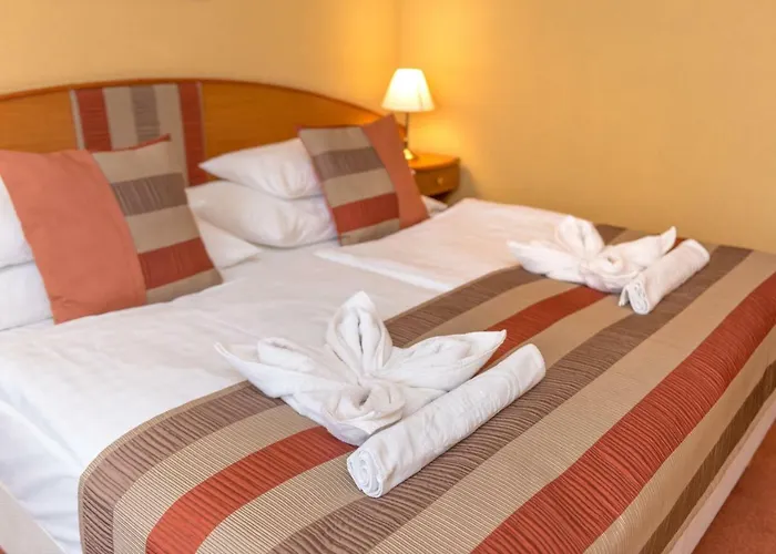 호텔 Hotel Spa Heviz Hévíz