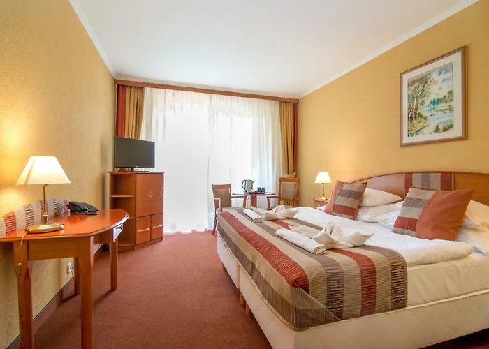 호텔 Hotel Spa Heviz 4*