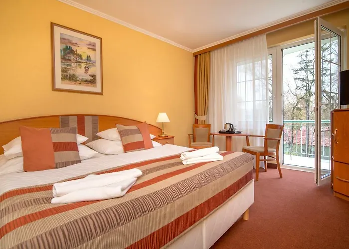 호텔 Hotel Spa Heviz 4*